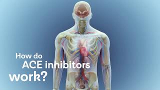 How do ACE inhibitors work [upl. by Phillips616]