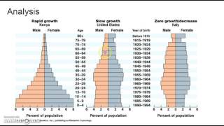 Population Pyramids and Demographic Transition [upl. by Ahnavas]