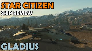 Aegis Gladius Review  Star Citizen 310 Gameplay [upl. by Maison449]