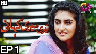 Teri Meri Kahani  EP 1  Aplus  Agha Ali Hiba Qadir Fahad Rehmani  C8A1 [upl. by Nananne]