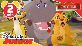 Magical Moments  Lion Guard A Sting In The Tail  Disney Junior UK [upl. by Ynatil]