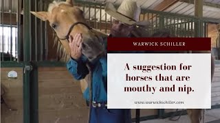 Solving biting or nipping issues with horsesthis is not how I do this anymore please see new videos [upl. by Aryt357]