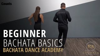 Bachata Beginner Basic Steps Tutorial  Demetrio amp Nicole  Bachata Dance Academy [upl. by Oniram480]