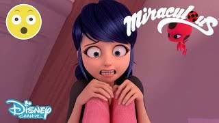 Miraculous Ladybug  Troublemaker is Back 😱  Disney Channel UK [upl. by Nylhtak]