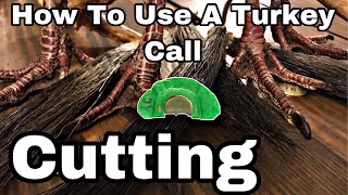 How To Use A Turkey Call  Cutting [upl. by Nwahsem]