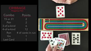 How To Play Cribbage Player Perspective [upl. by Kerrill689]