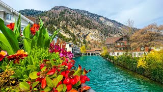 Spring has arrived in Interlaken 🇨🇭 Switzerland 4K [upl. by Waldman]