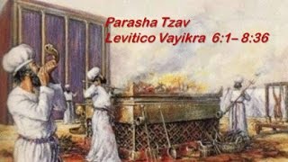 25  Torah Parsha Tzav give command [upl. by Ignaz]