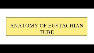 Anatomy of Eustachian Tube [upl. by Corydon]