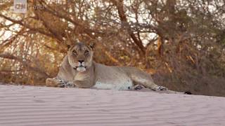 Skeleton Coast Namibia [upl. by Neerihs513]