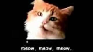 Official Meow Mix Commercial wLyrics [upl. by Fugere754]