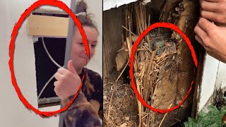 Incredible Things People Found Hidden in Their Homes [upl. by Namwob543]