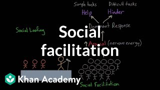 Social facilitation and social loafing  Behavior  MCAT  Khan Academy [upl. by Ertha]