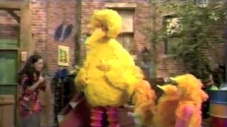 Sesame Street  Leelas Sesame Street video [upl. by Lladnarc]