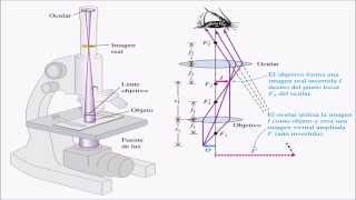 Microscopio y Telescopio [upl. by Anayit]