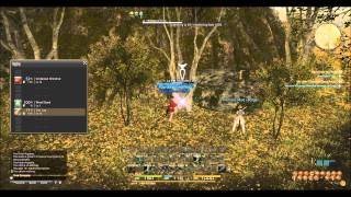 Final Fantasy XIV Online  Elm log Farming Guide [upl. by Ogir679]