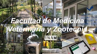 Aquí estudio Medicina Veterinaria 🤩 👩🏻‍⚕️ tour por mi facultad y clases online VLOG [upl. by Stead]