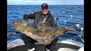 Angeln in Norwegen Seter Brygge – Die Großfischperle in Mittelnorwegen [upl. by Bernie]