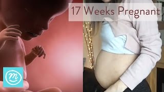 17 Weeks Pregnant What You Need To Know  Channel Mum [upl. by Wojcik]