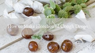 How to Make Horehound Cough Drops [upl. by Joli757]