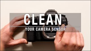 How to Clean Your Camera Sensor [upl. by Aicil]