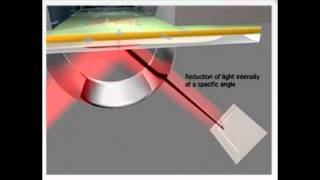 Surface Plasmon Animation [upl. by Nnylacissej159]