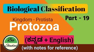 in Kannada Class 11 Biological Classification Part 19 Protozoa [upl. by Breban]