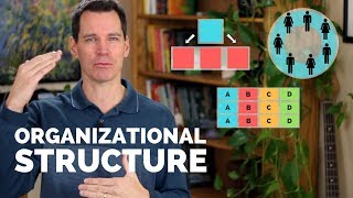 Organizational Structure [upl. by Karlens]