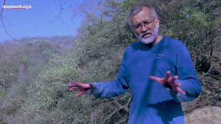 Aravalli  Story of a dying mountain range [upl. by Sclater227]