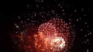 Fireworks with Sound Effects [upl. by Intosh]