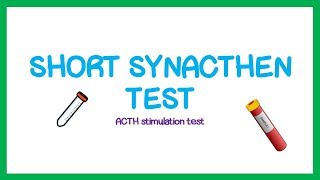 Cortisol the stress hormone in 2 mins [upl. by Nawrocki]