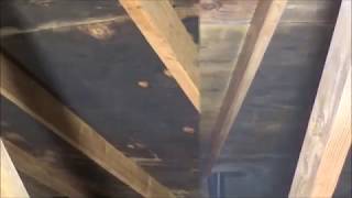 Attic Mold Removal [upl. by Lednew962]