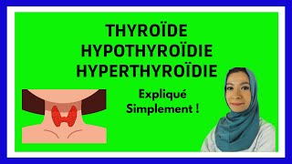 Thyroïde  Hypothyroïdie  Hyperthyroïdie  Définition Symptômes Traitements [upl. by Frere]