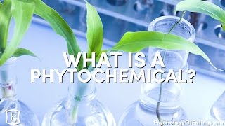 What is a Phytochemical  with Marc David [upl. by Atikihc]