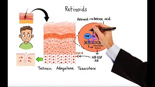 Pharmacology  ACNE TREATMENTS MADE EASY [upl. by Olfe]